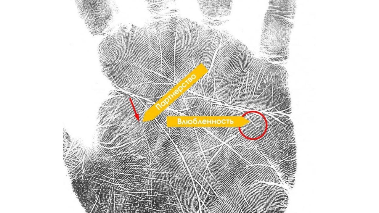 Ведет прием знаменитый Хиромант-Хиролог