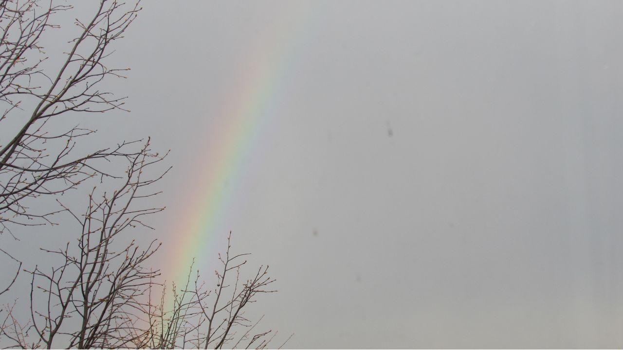 Помогу по дому