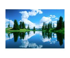 Помогу по дому